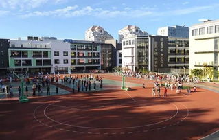 實(shí)驗(yàn)小學(xué)校園一角作文怎么寫,濱?？h實(shí)驗(yàn)小學(xué)作文校園一角,實(shí)驗(yàn)小學(xué)作文校園一角500字