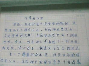 作文,校園里,角落,安靜