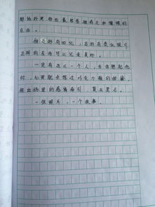 作文校園一景600字初二,校園一景片段作文初二,校園一景操場作文初二