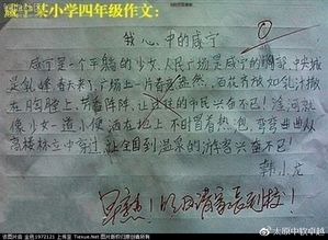 雨后的校園小學(xué)生短作文