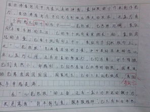 自編校園小說作文500字六年級(jí),自編校園小說作文800字,自編校園小說作文400字