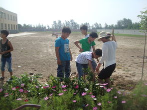作文,美化,綠化,校園