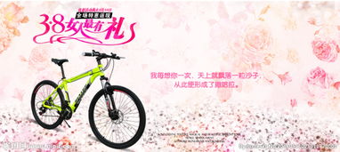 自行車校園廣告作文400字