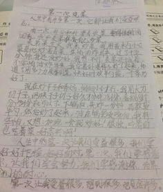 校園的杏花作文450字