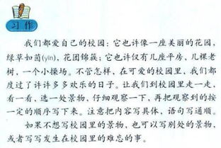 小學作文校園里的大楊樹