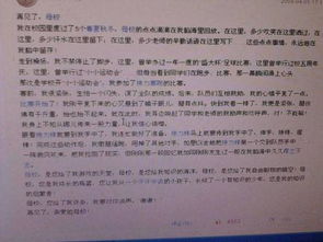 迎接新生活的作文關于校園的八百字