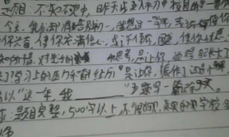 我的初中校園作文600字,我的校園作文600字初一,新的校園作文600字初一