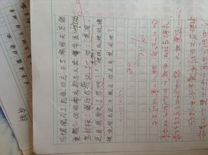 作文,八級,校園