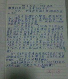 描寫校園的作文_六級