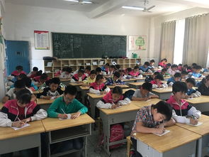 初三陽光校園作文