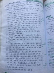 三級上冊我的校園作文200字左右