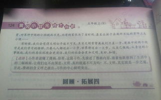 校園打架風(fēng)波作文500字