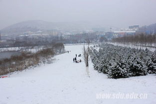 作文,雪景,視聽,校園