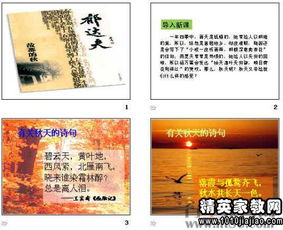 仿寫故都的秋作文,仿寫故都的秋作文800字,仿寫故都的秋作文300字