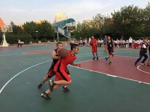 校園三人籃球賽的作文