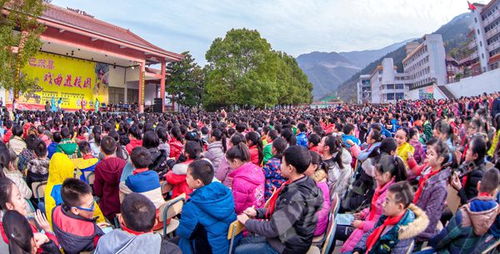 記戲曲進(jìn)校園活動(dòng)作文600字