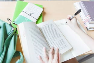 校園里的國旗作文