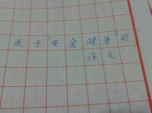 校園健康安全作文600字