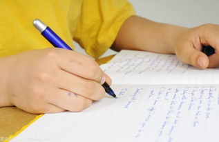 走出校園親近自然英語作文