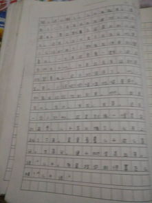 作文,小標題,校園