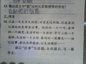 校園里快樂(lè)的事情作文600字