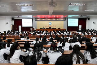 作文,傳統(tǒng)文化,有感,進校園