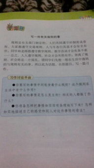 作文,校園里,事物