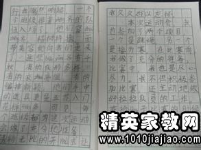 校園運(yùn)動(dòng)會(huì)消息作文200