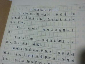 校園美景作文600情景交融