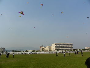 關(guān)于校園組織放風(fēng)箏的作文