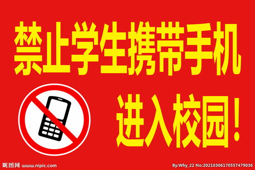 嚴禁學生帶零食進校園的作文