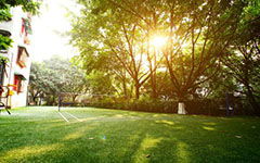 描寫校園冬景的作文300字,描寫冬景的作文200字左右,描寫家鄉(xiāng)冬景的作文200字