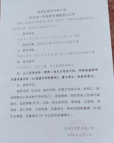 寫我的校園作文大慶路小學(xué)