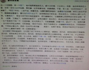 美麗的校園花朵作文600字