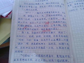 多彩校園作文400字以內(nèi),多彩的校園400字作文,多彩的校園活動作文400字六年級