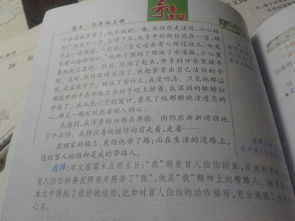 以新的校園新的環(huán)境為題寫一篇作文300字