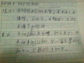 我的樂(lè)園作文400字整校園