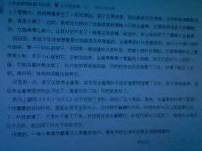 寫校園某種植物的作文