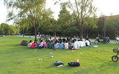 作文我的校園生活250