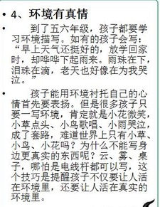 傳統(tǒng)武術(shù)融入校園作文