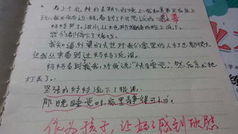 校園真情作文600字作文