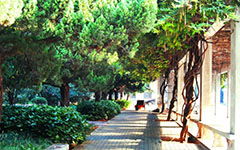 200字作文校園的早晨