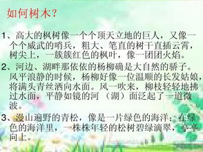 我的校園作文三百字一處景物描寫(xiě)