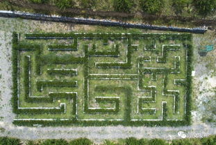 迷宮,注意事項,拓展,團隊