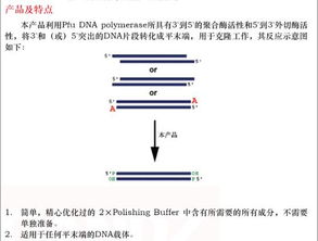 trizol提取rna的注意事項,trizol法提取rna注意事項,trizol提rna