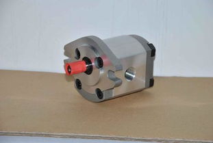 新齒輪泵注意事項(xiàng)