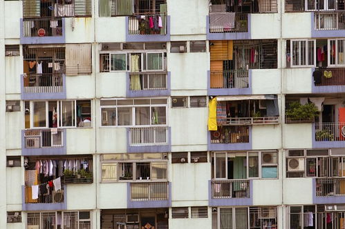 沙田,香港,注意事項(xiàng),租屋