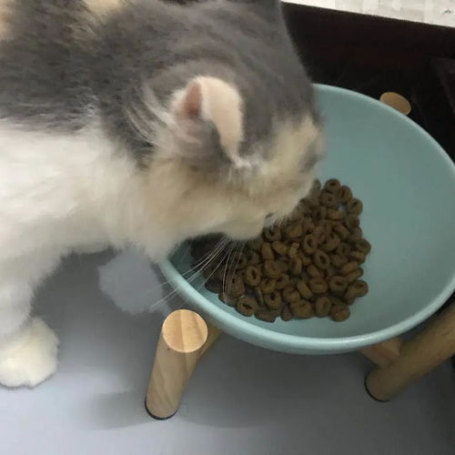 搬家的注意事項(xiàng),搬家順序和注意事項(xiàng),搬家的風(fēng)俗講究和注意事項(xiàng)