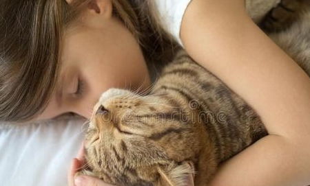 家有小孩養(yǎng)貓注意事項(xiàng)