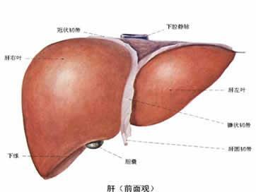 引產(chǎn)的注意事項(xiàng)有哪些,引產(chǎn)后飲食注意事項(xiàng)有哪些,引產(chǎn)手術(shù)后注意事項(xiàng)有哪些